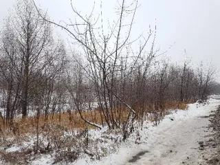 Земельный участок, кадастровый номер 50:16:0602003:642, площадь 10 200 кв. м., категория земель: земли населенных пунктов, вид разрешенного использования: размещение железнодорожного пути, расположенный по адресу: Московская область, Ногинский район, городское поселение Старая Купавна, г. Старая…
