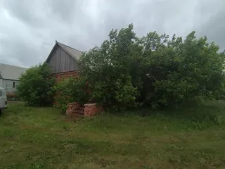Родничный ФАП, 68.1 кв.м, Оренбургская область Нежилое здание, земельный участок Здание, наименование: Родничный ФАП, кадастровый номер 56:23:0801001:163, площадь 68,1 кв.м., назначение: нежилое, виды разрешенного использования: данные отсутствуют, количество этажей 1, в том числе подземных 0…