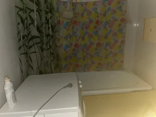 Земельный участок 460 м² и жилой дом 51,7 м², пер. Строителей, д. 29, Тамбовская обл. <p>– Земельный участок, Адрес Тамбовская обл., Тамбовский р-н, п. совхоза "Комсомолец", пер. Строителей, д. 29, 460 м?, кад. № 68:20:1201005:119, категория/ВРИ – ЗНП/ЛПХ, право собственности ; – Жилой дом, Адрес…
