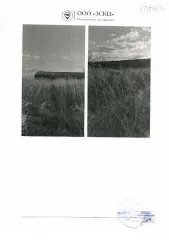 Коровник 3495.5 кв. м, участок 5578 кв. м, Еврейская АО. Кадастровый номер здания 79:03:2700003:96, земельного участка 79:03:2700003:67. Вид разрешенного использования - для ведения личного подсобного хозяйства. Местонахождение: Еврейская автономная обл., Ленинский р-н, с. Новое, ул. Набережная, д…