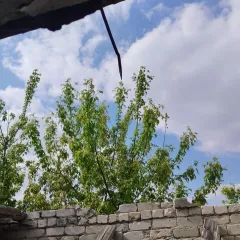 1/3 доля в праве на жилое здание, площадь: 64,4 кв.м., адрес (местонахождение): Липецкая область, рн. Данковский, г. Данков, ул. Верхняя Куликовская, д. 23, кадастровый номер: 48:03:0691874:36