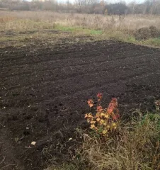 Доля дома 62.9 м² и доля участка 4607 м², Белгородская обл. 1/10 доля дома и 1/10 доля земельного участка в Белгородской обл. еще 1/10 доля земельного участка, площадь 4607 кв.м., назначение: Земли населенных пунктов, адрес: Россия, Белгородская обл., г. Старый Оскол, ул. Стойло, д. 50, кадастровый…