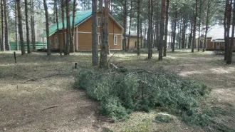 Дома для круглогодичного и сезонного проживания, хозпостройки, база «Верхняя Рыбинка», Вологодская область. Объекты недвижимости - дома для круглогодичного и сезонного проживания, хозяйственно-бытовые постройки, очистные сооружения, ограждение (забор металлический), бытовая канализация…