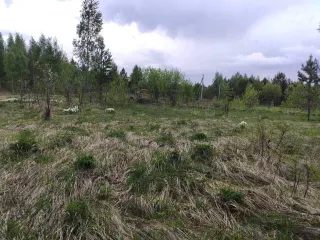 Земельный участок в Татарстане, 600 кв.м., расположенный по адресу: Россия, Республика Татарстан, Верхнеуслонский муниципальный район, Набережно-Морквашское сельское поселение, "Родник" СНТ, д.б/н, с кадастровым номером: 16:15:121401:453, площадью 600 кв.м. Является предметом залога ПАО "Sberbank"…