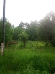 Земельный участок площадью 1000 м2, кадастровый номер: 18:02:021001:1856, расположенный по адресу: Удмуртская Республика, муниципальный округ Балезинский р-н, село Балезино, Сибирская ул., земельный участок 4а, находится в залоге у ПАО "Sberbank".