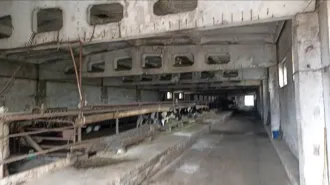 Стойловое стационарное оборудование 2d