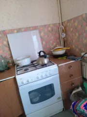 1/4 доли в квартире, 49 кв. м, Курская область, Железногорск. 1/4 доля квартиры в Курской обл. еще 1/4 доля квартиры в Курской обл. еще 1/4 доли в праве на Квартиру, расположенную по адресу: Курская область, г. Железногорск, ул. Молодёжная, д. 3/5, кв. 51. Кадастровый номер: 46:30:000014:3806…