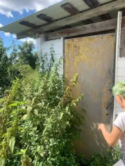 Дом 36 кв.м и земельный участок 4046 кв.м, Орловская область. Земельный участок 4046 кв.м, кадастровый номер 57:09:0080101:88, и стоящее на нём здание 36 кв.м, кадастровый номер 57:09:0080101:254, по адресу: Орловская обл., р-н Кромской, с.п. Апальковское, с. Коровье Болото, д. 122.