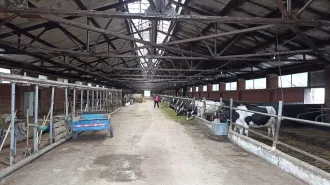 Стойловое стационарное оборудование 2d