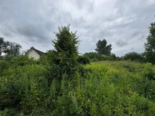 земельный участок Земельный участок площадью 1210 кв. м. (в соответствии со схемой расположения земельного участка или земельных участков на кадастровом плане территории), кадастровый квартал 50:09:0010101, местоположение: Московская область, городской округ Солнечногорск, деревня Новое…