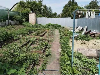 Участок 65.7 м² и дом 345 м² в Пензенской области, г. Нижний Ломов, пер. Свердлова, д. 13. Кадастровый номер участка: 58:21:0250208:155, вид права: ½ доля. Кадастровый номер дома: 58:21:0250208:81, адрес: пер. Свердлова, дом 13-1, вид права: ½ доля.