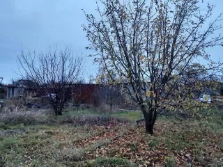 Здание 	 Вид объекта –здание Кадастровый номер–34:26:041901:240 Назначение объекта недвижимости –нежилое Местоположение– Волгоградская обл., Светлоярский р н., СНТ Якорь 3, линия 1, массив 2, уч. 35 Площадь–20,9 кв. м. Вид права, доля в праве  собственность Дата государственной регистрации…