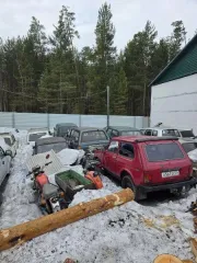 ВАЗ 21213, 2000. Автомобиль ВАЗ 21213, г/н О561ЕС24, 2000 г.в., VIN XTA21213011551621, двигатель № 6536347, цвет красный, комплектность и состояние не проверялась, данное имущество обращено в доход государства, находится в Туруханском районе (документы и ключи отсутствуют). Пробег: 0. Вид…