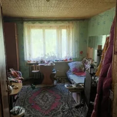 Жилое помещение, площадью 13.5 кв. метра, с кадастровым номером 52:21:0000115:8459
Находящаяся по адресу: Нижегородская область, г. Дзержинск, ул. Молодежная, д.3, к.15(2)
На имущество наложены ограничения в виде запрета на регистрационные действия