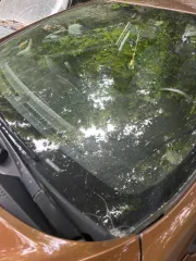 Kia Ceed (KIA JD (CEE'D)), 2016 года выпуска, 130 лс, 100151 км, АКПП, VIN XWEHM812BG0001286. Объект может быть приобретен с использованием заемных средств ПАО "Сбербанк".