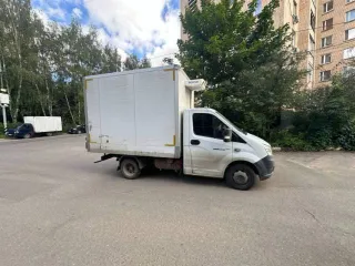 ГАЗ EL NEXT, 2021 Автомобиль грузовой, марка, модель: 3009Z6, VIN: XZV3009Z6M0002807, гос. рег. номер: В024КТ790, год изготовления: 2021