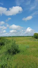 Земельный участок площадью 2500 кв.м. Назначение: земли населенных пунктов. Вид разрешенного использования: для ведения личного подсобного хозяйства. Адрес: Россия, Пензенская область, Земетчинский район, село Графинино, улица Садовая, дом 61. Местоположение установлено относительно ориентира…