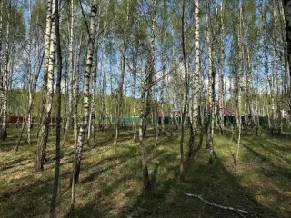 Земельный участок 1171 кв.м, ЛПХ, Московская область, г. Кашира, мкр. Ожерелье, площадью 1171 кв.м, категория земель: «земли населенных пунктов», вид разрешенного использования «для ведения личного подсобного хозяйства (приусадебный земельный участок)», расположенный по адресу: Московская область…