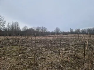 Земельный участок с кадастровым номером 69:10:0000037:1691, площадью 1 077 кв.м., местоположение: Тверская область, Калининский район, Верхневолжское с/п, с.Петровское.