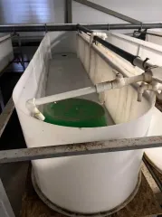 Строительство фермы по выращиванию форели по адресу д. Мещеряково Промпарк «Буинск» Буинского муниципального района, кадастровый номер 16:14:140102:762, общая площадь 1 432,0 кв.м. (в залоге АО «Татагролизинг»); Административное здание, кадастровый номер 16:14:140102:763, общая площадь 57,4 кв.м…