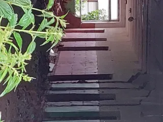 Нежилое здание детского сада площадью 311.9 кв.м, 1977 года ввода в эксплуатацию, расположенное по адресу: Пензенская область, Кузнецкий район, село Анненково, улица Рабочая, 26. Кадастровый номер здания: 58:14:0190201:676. Здание одноэтажное. Расположено на земельном участке площадью 2535 кв.м с…