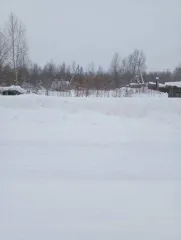 Земельный участок, площадь: 1 600 кв.м., адрес (местонахождение): Архангельская область, Плесецкий район, с. Конево, ул. Проймачевская, дом № 3, категория земель: Земли населенных пунктов, разрешенное использование: Для ведения личного подсобного хозяйства, кадастровый номер: 29:15:161503:115…