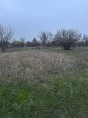 Земельный участок, площадью 500 +- 8 кв. м., с кадастровым номером 61:45:0000414:1287, расположенный по адресу: Российская Федерация, Ростовская область, г. Азов, юго-западная часть города в районе ул. Победы.