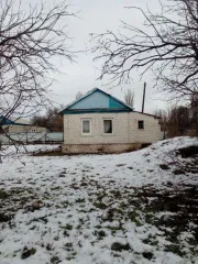 Земельный участок 3635 кв.м, здание 29.6 кв.м, Волгоградская обл. Земельный участок, жилое помещение (здание) 1/2 доли земельный участок, площадь 3635 кв.м., адрес: Россия, Волгоградская обл., Суровикинский р-н, х. Ближнеосиновский, кадастровый номер: 34:30:090004:10. 1/2 доли здание, площадь 29.6…