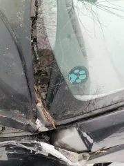 Ford Fiesta 2008 года, государственный номер Т291НВ799. VIN: WF0HXXGAJH8K57057. Тип: легковой автомобиль, категория B, цвет темно-серый. Расположен в Твери на улице Ерофеева, дом 16, квартира 81. Пробег неизвестен. ПТС 77 ТХ 429803.