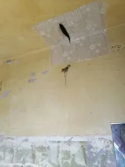 Жилое помещение, кадастровый номер 21:02:010218:2844.