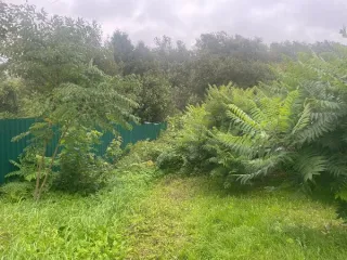 Земельный участок 836 кв.м, кадастровый номер 39:15:150912:377. Предоставление земельного участка в аренду. Организованные подъездные пути к земельному участку отсутствуют, подъезд к земельному участку затруднен. Земельный участок не образован. Земельный участок и подъезд к нему покрыты…