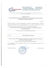 Доля в уставном капитале ООО «СЗТП» (ОГРН 1141326001508, дата присвоения ОГРН: 06.06.2014 год, ИНН 1326228122, КПП 132601001) в размере 100%.