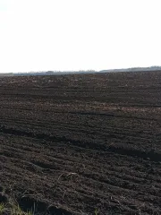 Земельный участок 5000 кв.м, Воронежская область, Таловский район. Кадастровый номер: 36:29:9200007:253. Адрес (местоположение): Воронежская область, р-н Таловский, Казанское сельское поселение, в южной части кадастрового квартала 36:29:9200007. Площадь, кв.м: 5000. Вид права, доля в праве…