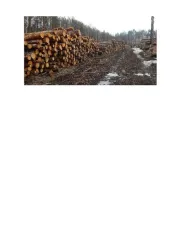 Древесина смешанных пород в объеме 5622 куб. метров. Место хранения древесины: Свердловская область, Пригородный район, в границах земельного участка с кадастровым номером 66:19:0103006:415. Древесина смешанных пород в объеме 5622 куб. метров. Место хранения древесины: Свердловская область…