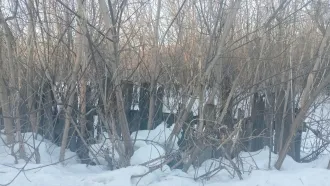 Земельный участок 1000 кв.м, Новокузнецкий р-н, сдт "Коттедж", кадастровый номер: 42:09:1021001:17, почтовый адрес: обл. Кемеровская, р-н Новокузнецкий, сдт "Коттедж", участок 17, площадь: 1000 кв.м.