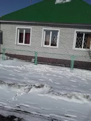 Земельный участок, площадью 1626 +/- 8 кв.м, категория земель: земли населенных пунктов, разрешенное использование: Для ведения личного подсобного хозяйства, с кадастровым номером: 55:02:070101:164. Расположенный по адресу: Омская область, Большереченский район, с. Новологиново, ул. Береговая, д…
