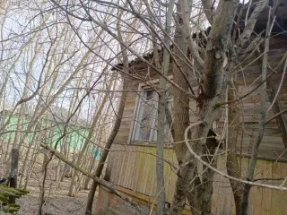 Доля 46/48 жилого дома, площадь 48.3 кв.м., назначение: жилое, адрес (местонахождение): Россия, Воронежская область, р-н Острогожский, х Дубовой, ул Зелёная аллея, 6, кадастровый (условный) номер: 36:19:1100001:88 и доля 46/48 земельного участка, площадь 4300 кв.м., назначение: Земли населенных…