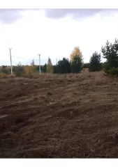 Земельный участок 2436 кв.м, Свердловская обл., 2436 кв.м, площадь: 2 436кв.м., адрес (местонахождение): 622000, Свердловская обл, Пригородный р-н, правее автодороги на с.Петрокаменское, при выезде из с.Николо-Павловское, участок №103, кадастровый номер: 66:19:1909003:944, Категория земель: Земли…