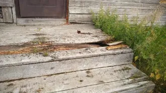Нежилое здание магазина продовольственного, кадастровый номер 10:19:0020120:23, общей площадью 114,9 кв.м., расположенное по адресу: Республика Карелия, р-н Муезерский, п. Ледмозеро, пер. Школьный, д. 4, с земельным участком, кадастровый номер 10:19:0020120:29, общей площадью 224 +/-5 кв.м.