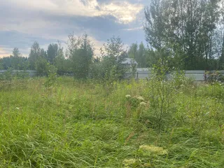 Земельный участок 750 кв.м Московская область для индивидуального садоводства. Местоположение установлено относительно ориентира, расположенного в границах участка. Почтовый адрес ориентира: обл. Московская, р-н Талдомский, д. Кушки. Кадастровый номер 50:01:0060351:34