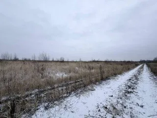 Земельный участок 600 кв.м в Московской области, городской округ Раменский, деревня Аргуново. Кадастровый номер: 50:23:0050573:1513. Площадь: 600 +/- 17 кв.м. Категория земель: сельскохозяйственного назначения. Вид разрешенного использования: для ведения садоводства.