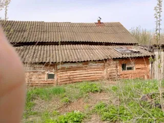 1/2 доля жилого дома, 41,1 кв.м, Оренбургская область, Российская Федерация, м.р-н Северный, с.п. Рычковский сельсовет, с Рычково, ул Нижнеаульная, двлд. 3, кадастровый номер 56:28:1201002:196.
