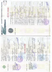 Ford Focus 2006. Марка, модель: ФОРД ФОКУС. Идентификационный номер (VIN): X9F5XXEED56J15999. Тип ТС: Комби (хэтчбек). Год выпуска: 2006. Цвет: Серебристый. Залог в пользу ООО МКК «Корона» (ИНН 1909001476).
