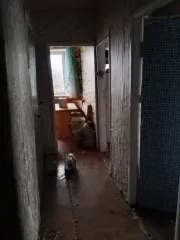 1/4 доля квартиры 36,7 кв.м и 1/4 доля жилого помещения, площадь: 36,7кв.м., адрес (местонахождение): Российская Федерация, Оренбургская область, м.о. Кувандыкский, с Новосамарск, ул Советская, д. 23, кв. 11, кадастровый номер: 56:15:0402001:486