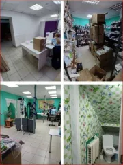 Здание 405,4 кв.м. и земельный участок 1016 кв.м. в Республике Коми, Сысольский район, с. Визинга, ул. Советская, д. 33. Назначение здания: нежилое, этажей: 3, кадастровый номер: 11:03:2001004:701. Земельный участок категории земель населенных пунктов, вид разрешенного использования: магазин…