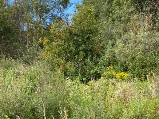 Аренда земельного участка 1494 кв.м. для ЛПХ в г.о. Клин (КН 50:03:0030115:762) Вид разрешённого использования земельного участка: 2.2