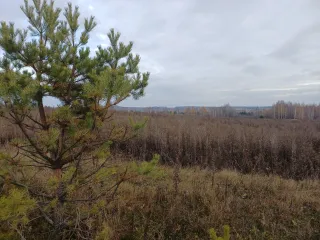 Земельный участок площадью 820 кв.м. Адрес: Россия, Республика Татарстан, Надеждинское сельское поселение, Пестречинский муниципальный район, СНТ "Петрово", участок 4-2. Кадастровый номер: 16:33:211113:214. Ознакомиться с имуществом можно с момента публикации до окончания приема заявок по будням с…