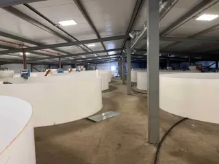 Строительство фермы по выращиванию форели по адресу д. Мещеряково Промпарк «Буинск» Буинского муниципального района, кадастровый номер 16:14:140102:762, общая площадь 1 432,0 кв.м. (в залоге АО «Татагролизинг»); Административное здание, кадастровый номер 16:14:140102:763, общая площадь 57,4 кв.м…