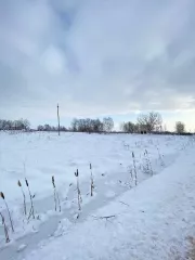 1/2 доля в праве собственности на земельный участок площадью 1434±13 кв. м, кадастровый номер 53:11:0500301:71, категория земель - земли населенных пунктов, вид разрешенного использования – для индивидуального жилищного строительства. Местоположение установлено относительно ориентира…
