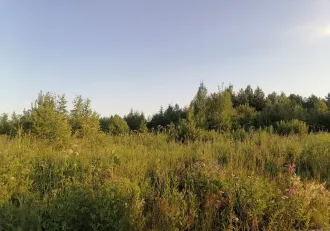 Земельный участок 1500 м², городской округ Ревда Зем. уч. пл. 1500 м2, СО, го Ревда, залог PAO Sberbank - Земельный участок с кадастровым номером 66:21:1401002:410, площадью 1 500 м², местоположение «Свердловская область, городской округ Ревда, севернее с. Кунгурка, урочище Дегтярные, сектор М…